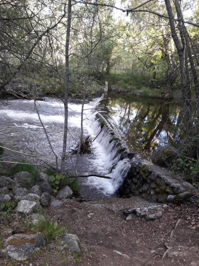 Arcalis